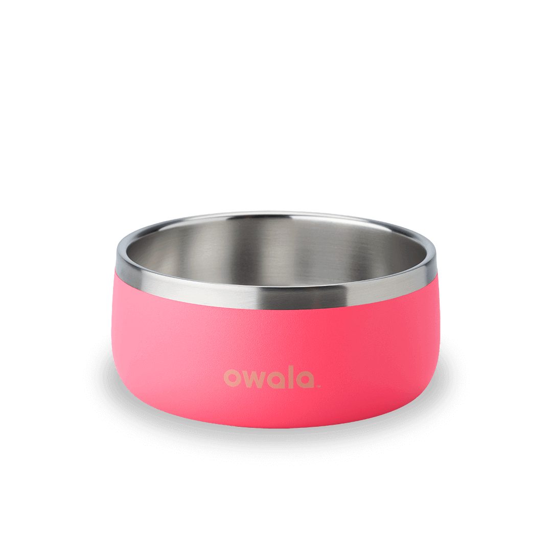 Pet Bowl Hyper Flamingo